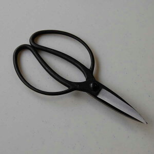 @A؉60mm
