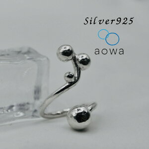 yMAX50%OFFzfUCȂ̎Ƃ̈ƂăfbTĂ̂̂܂܌`ɁI@ZfUC@silver925@Oj[NIɂ傤ɂ僊O@jp