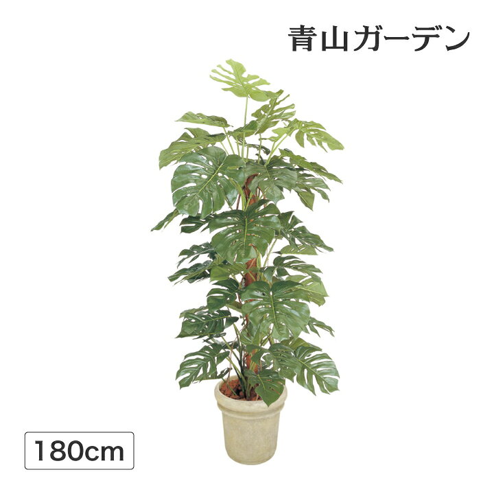 楽天市場 人工観葉植物 造花 業務用 施設 オフィス 店舗 装飾 フェイク グリーン リアル 飾り タカショー モンステラ 1 8m E 青山ガーデン