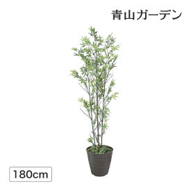 楽天市場 七夕 竹の通販