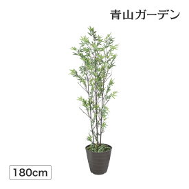 笹 七夕 飾り 竹 人工観葉植物 業務用 施設 オフィス 店舗 装飾 フェイク グリーン リアル タカショー / 黒竹3本立 鉢付 1.8m /中型 (rco)