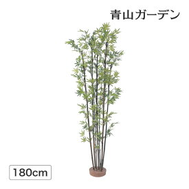 楽天市場 観葉植物 竹の通販