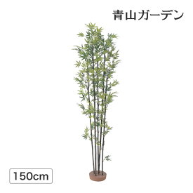 楽天市場 黒竹 鉢植えの通販