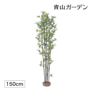 竹 鉢 観葉植物の人気商品 通販 価格比較 価格 Com