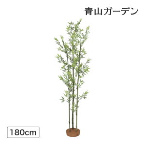 観葉植物 七夕 笹の人気商品 通販 価格比較 価格 Com