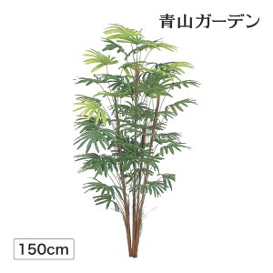 観葉植物 鉢植えの人気商品 通販 価格比較 価格 Com 観葉植物 鉢植えの人気商品 通販 価格比較 価格 Com