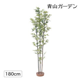 楽天市場 黒竹 鉢植えの通販
