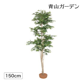 楽天市場 もみじ 鉢植えの通販 楽天市場 もみじ 鉢植えの通販