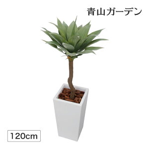 lHϗtA  Ɩp { ItBX X  tFCN O[ A  ^JV[ / AKxc[ 1.2m /^ (rco)