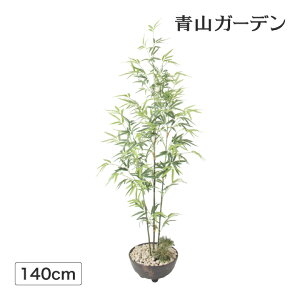 観葉植物 七夕 笹の人気商品 通販 価格比較 価格 Com