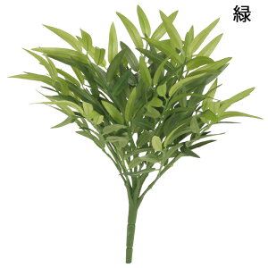 観葉植物 グランドカバーの人気商品 通販 価格比較 価格 Com 観葉植物 グランドカバーの人気商品 通販 価格比較 価格 Com