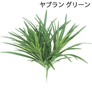 観葉植物 グランドカバーの人気商品 通販 価格比較 価格 Com 観葉植物 グランドカバーの人気商品 通販 価格比較 価格 Com