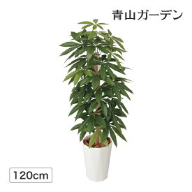 人工観葉植物 造花 業務用 施設 オフィス 店舗 装飾 フェイク グリーン リアル 飾り タカショー / パキラ 1.2m /中型 (rco)