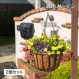 ハンギング 鉢 プランター ガーデン タカショー 福袋 / Qsui AQUA ハンギングバスケット 2個セット /小型 (rco)