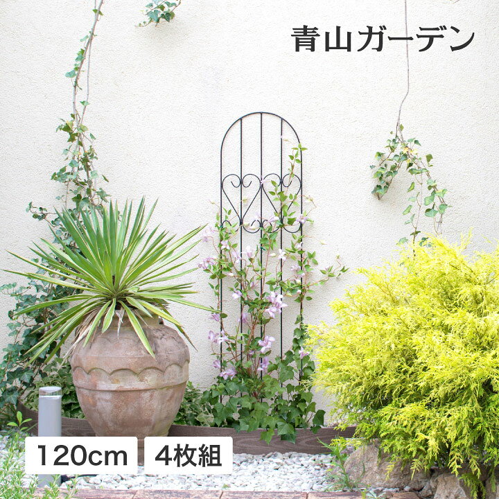 楽天市場】トレリス フェンス バラ クレマチス 誘引 つる性 目隠し 目 