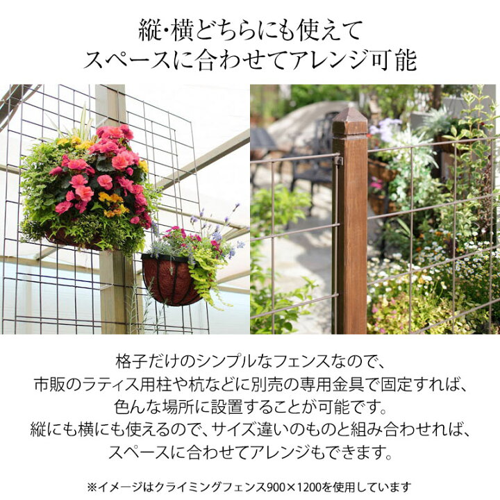 楽天市場 トレリス フェンス バラ クレマチス 誘引 つる性 目隠し 目かくし タカショー クライミングフェンス 900 600 5枚組 A 青山ガーデン 楽天市場 トレリス フェンス バラ クレマチス 誘引 つる性 目隠し 目かくし タカショー クライミングフェンス 900 600 5枚組 A 青山ガーデン