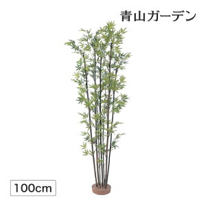 竹 鉢植えの人気商品 通販 価格比較 価格 Com