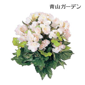 【スーパーSALE期間中10%OFF】人工観葉植物 下草 坪庭 造花 業務用 施設 オフィス 店舗 装飾 フェイク グリーン グランドカバー リアル タカショー / ベゴニア ピンク /小型 (rco)