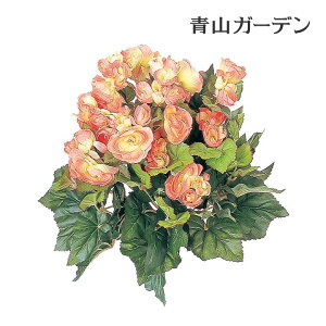 lHϗtA  ؒ  Ɩp { ItBX X  tFCN O[ OhJo[ A ^JV[ / xSjA IW /^ (rco)