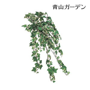 lHϗtA  Ɩp { ItBX X  tFCN O[ A  ^JV[ / ACr[ubV_uJ[ /^ (rco)