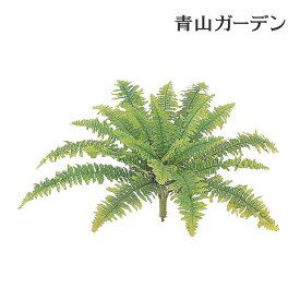 楽天市場 タマシダの通販