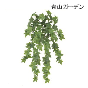 アイビー 観葉植物の人気商品 通販 価格比較 価格 Com アイビー 観葉植物の人気商品 通販 価格比較 価格 Com