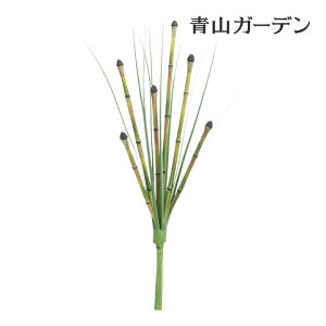 lHϗtA  Ɩp { ItBX X  tFCN O[ A  ^JV[ / gNTA /^ (rco)