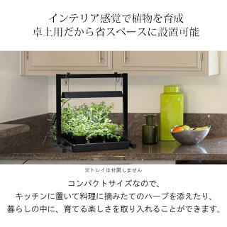 育成灯育苗/グリーントラッグ卓上ブラック/LGT-01BK/家庭菜園/キッチンガーデン/インドアガーデン/梱包サイズ小