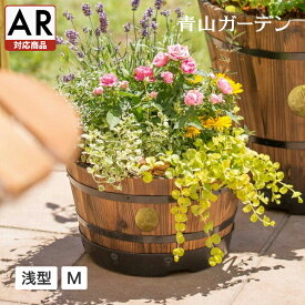 楽天市場 ハーブ 寄せ植え プランター 植木鉢 プランター ガーデニング 農業 花 ガーデン Diyの通販