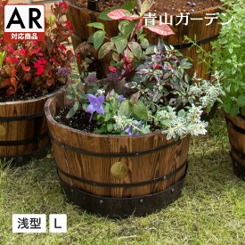 楽天市場 ハーブ 寄せ植えの通販