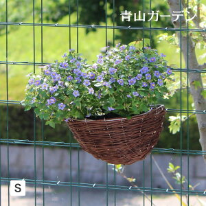 壁掛け ハンギングバスケットの通販 価格比較 価格 Com
