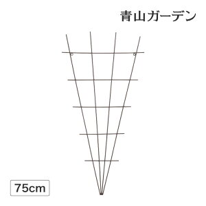 gX tFX o N}`X U 鐫 ډB ڂ ^JV[ / NC~OgX 750 /^ (rco)