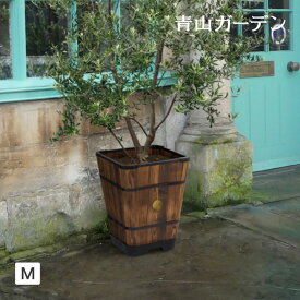 楽天市場 寄せ植え 素材 ガーデニング Diy用品 木 プランター 植木鉢 プランター ガーデニング 農業 花 ガーデン Diyの通販 楽天市場 寄せ植え 素材 ガーデニング Diy用品 木 プランター 植木鉢 プランター ガーデニング 農業 花 ガーデン Diyの通販