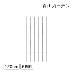 gX tFX o N}`X U 鐫 ډB ڂ ^JV[ / NC~OXNGAgX 1200 6g /^ (rco)