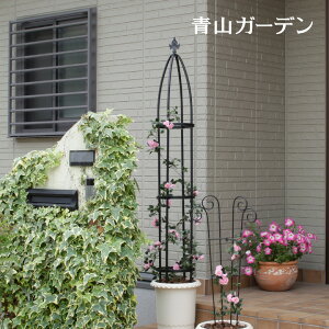 クレマチス 庭の人気商品 通販 価格比較 価格 Com