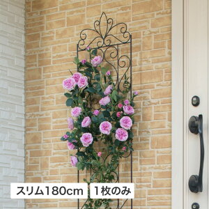 gX tFX o N}`X U 鐫 ډB ڂ  ^JV[ / fUCgXX 1800yARΉiz /^ (rco)