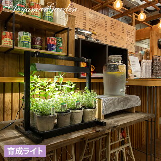 育成灯育苗/グリーントラッグ卓上ブラック/LGT-01BK/家庭菜園/キッチンガーデン/インドアガーデン/梱包サイズ小