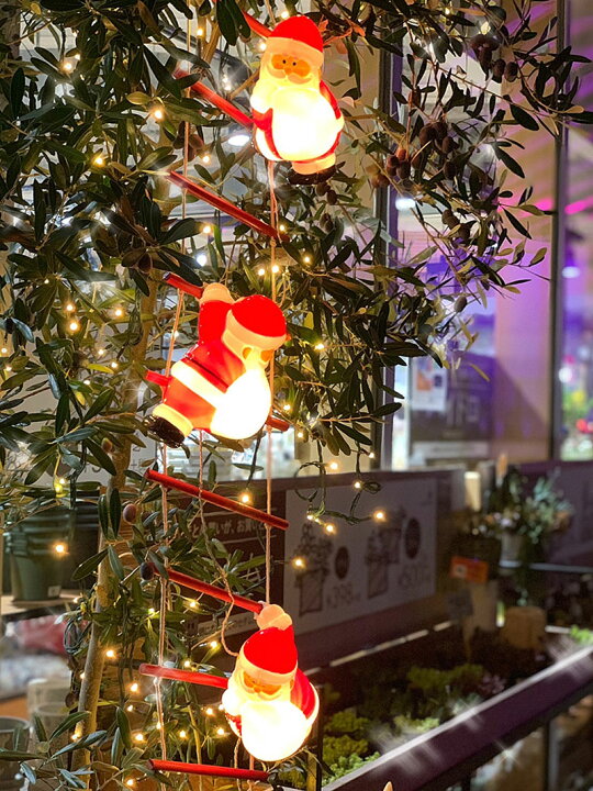 楽天市場】ライト クリスマス 屋外 LED イルミネーション led はしご 
