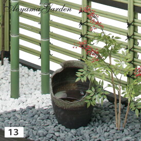 楽天市場 水生植物 メダカの通販