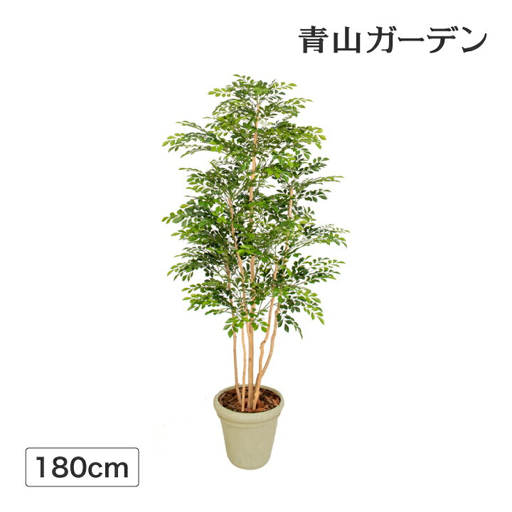 楽天市場 クーポン配布中 人工観葉植物 造花 業務用 施設 オフィス 店舗 装飾 フェイク グリーン リアル 飾り タカショー 新トネリコ 5本立 1 8m E 青山ガーデン