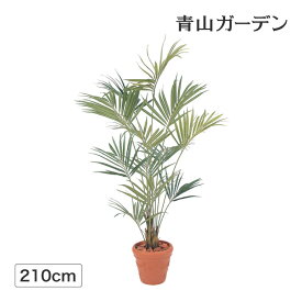 【スーパーSALE期間中10%OFF】人工観葉植物 造花 業務用 施設 オフィス 店舗 装飾 フェイク グリーン リアル 飾り タカショー / ニューケンチャヤシ 2.1m /大型 (rco)