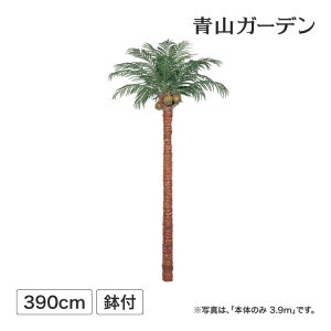 ヤシ 観葉植物の人気商品 通販 価格比較 価格 Com