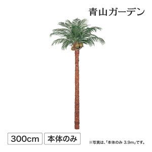 ヤシ 観葉植物の人気商品 通販 価格比較 価格 Com