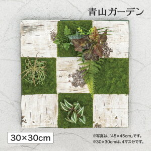 lHϗtA ǖʗΉ  Ɩp { ItBX X  tFCN O[ fBXvC ^JV[ / ǖʃAW K  30×30cm /^ (rco)