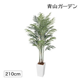 人工観葉植物 造花 業務用 施設 オフィス 店舗 装飾 フェイク グリーン リアル 飾り タカショー / ニューアレカヤシ /大型 (rco)