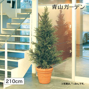 lHϗtA  Ɩp { ItBX X  tFCN O[ A  ^JV[ / ~c[ 2.1m /^ (rco)