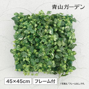 ポトス アレンジ 観葉植物の人気商品 通販 価格比較 価格 Com
