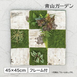 lHϗtA ǖʗΉ  Ɩp { ItBX X  tFCN O[ ^JV[ / ǖʃAW K  t[t 45×45cm /^ (rco)