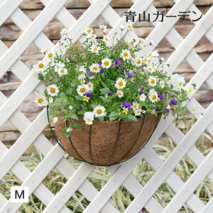 nMO  v^[ oXPbg |bg K[fjO ^JV[ / EH[nMOoXPbgM /^ (rco)