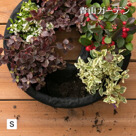 楽天市場 ハンギングリースの通販